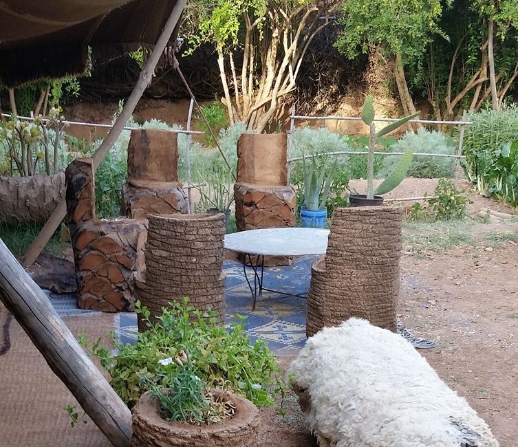 Article : Le Jardin d&rsquo;Ahmed